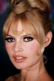 Brigitte Bardot Movie Trailers List | Movie-List.com