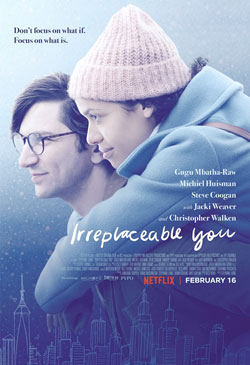 Irreplaceable You Poster